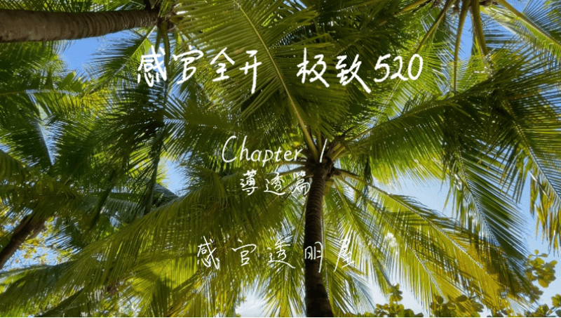 感官全开，极致520